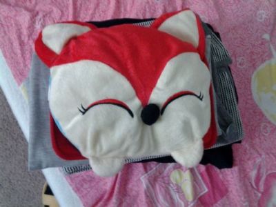 佛山市郵政郵局快遞美國價格查詢，多久能到？