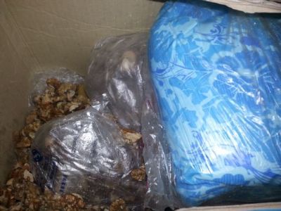 佛山市國際郵遞英國，怎么往國外寄快遞？