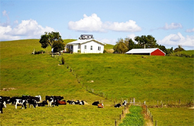 郵寄包裹到新西蘭需要注意哪些問題