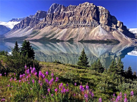 從中國(guó)集裝箱海運(yùn)家具至加拿大怎么辦理