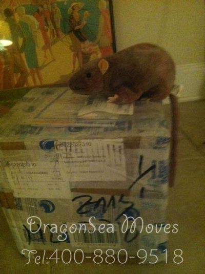 ?？谑屑耐羞\到美國，哪個公司最便宜？