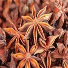 寄八角到美國國際快遞