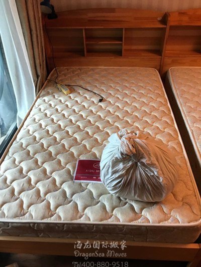 上海門到門搬家到德國(guó)