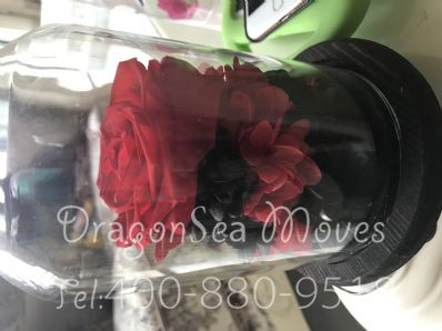 深圳市郵政郵局快遞美國價格查詢，多久能到？