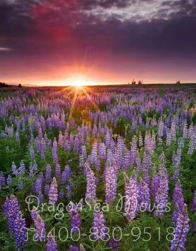 盤錦市寄托運(yùn)到美國費(fèi)用，怎么收費(fèi)？