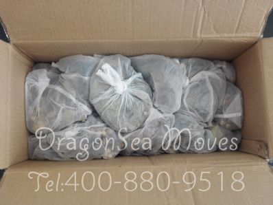 東莞市寄托運到美國，哪個公司最便宜？