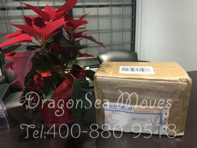 濟南市往加拿大寄東西價格，哪個快遞最便宜？