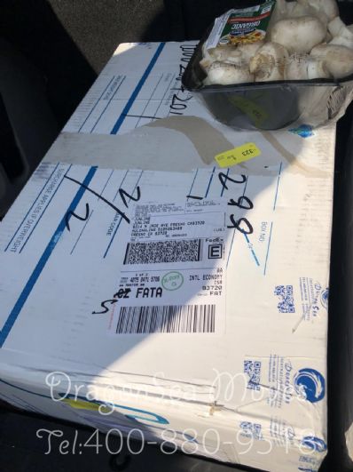 上海市寄東西到美國價(jià)格，費(fèi)用能便宜嗎？