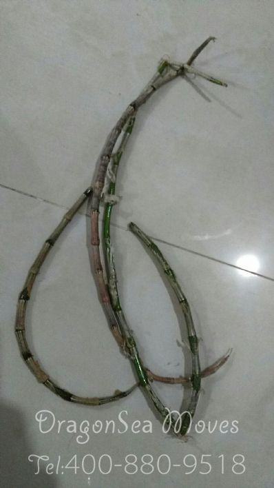 貴陽市郵寄包裹到馬來西亞(西)價(jià)格，收費(fèi)是怎樣？