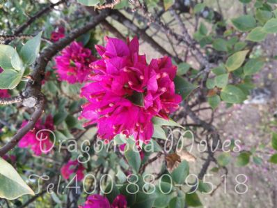 上海市郵寄東西到美國，什么快遞最便宜？