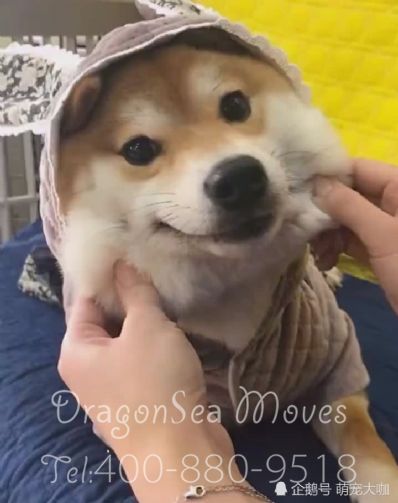 從珠海市托運(yùn)到法國(guó)