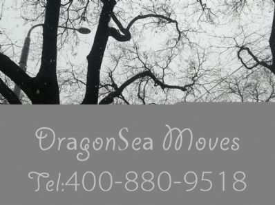 從北京市托運到法國