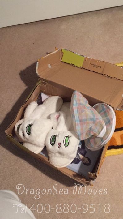 從北京市托運到加拿大