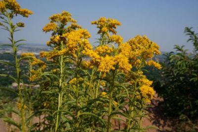 從上海市托運到中國臺灣