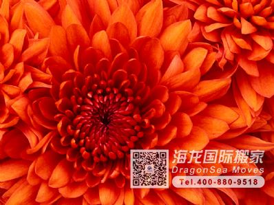 東莞市郵寄東西到中國臺灣，什么快遞最便宜？