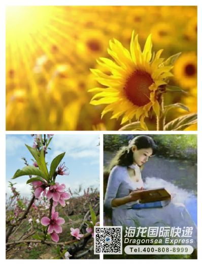 食品怎么寄到加拿大？