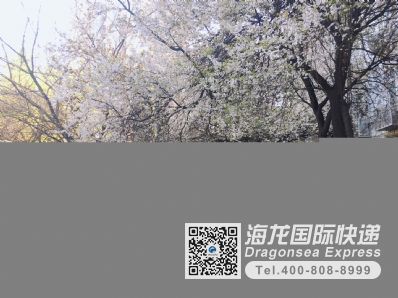 從西安市托運(yùn)到法國