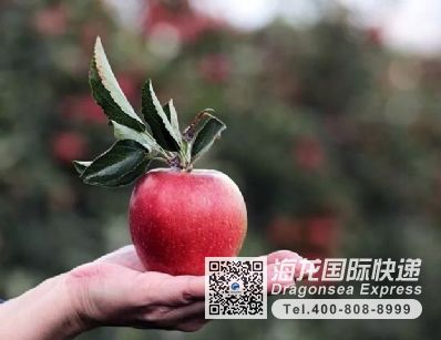 口罩、護目鏡、一次性雨衣、藥品等寄國際快遞哪個物流便宜？