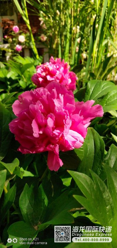 從北京市托運到美國