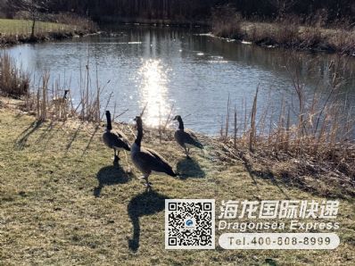 海參，燕窩，餅干能寄國際包裹去美國嗎？