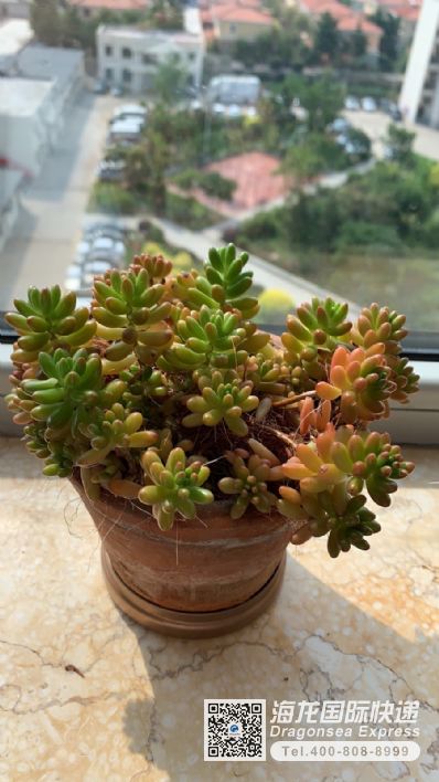 淘寶買(mǎi)口罩、藥品寄到美國(guó)的價(jià)格是多少？