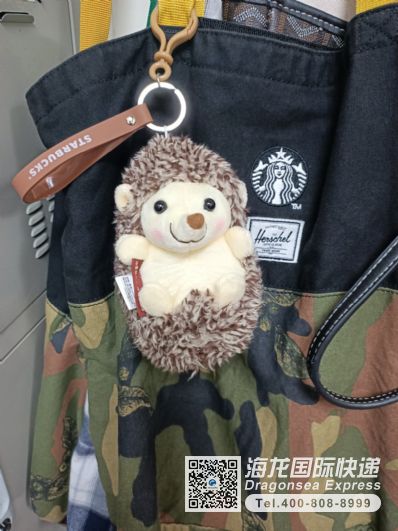 從東莞市托運(yùn)到日本