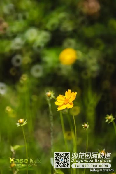 國際快遞空運美國用什么物流？