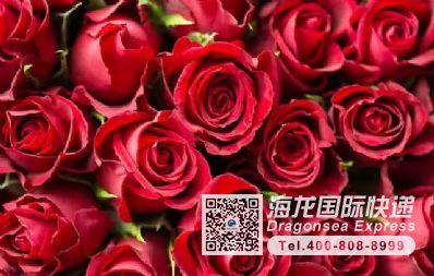 從南京市托運(yùn)到法國